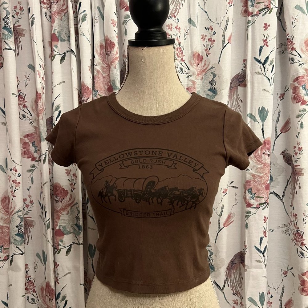 Brandy Melville Cropped Baby Tee